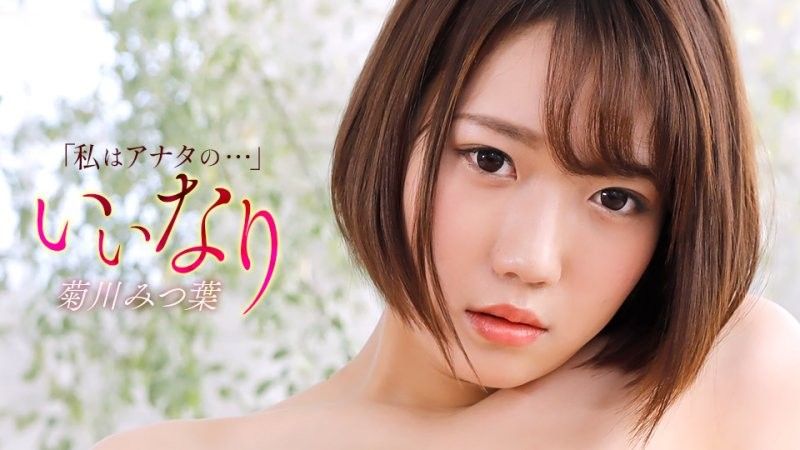 順從者 菊川三葉